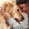 Votre chien vous parle-t-il ?