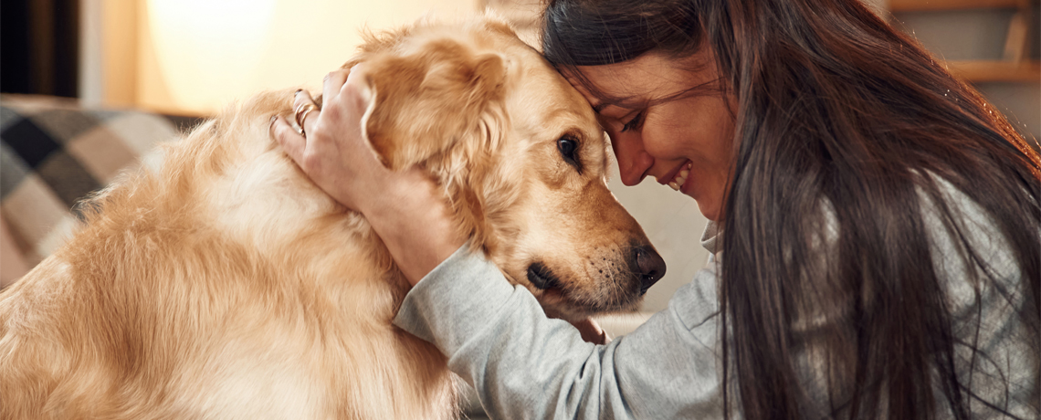 Votre chien vous parle-t-il ?